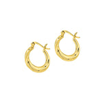 Load image into Gallery viewer, Gold Plated Indian Hoop Earrings New Delhi