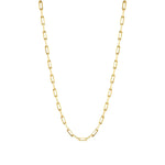 Load image into Gallery viewer, Silver Necklace Long Link