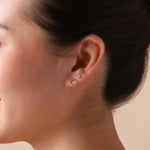 Load image into Gallery viewer, Gold Plated Hexagon Stud Earrings
